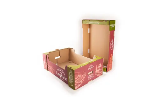 Caixes muntades de fruita i verdura Campnatur - packaging | Massó Pack